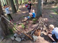 4 oddil stavi herni pole pro Angry birds.jpg